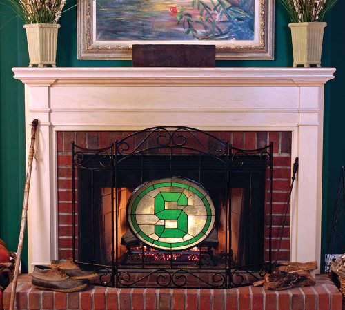 Michigan State University Fireplace Screen