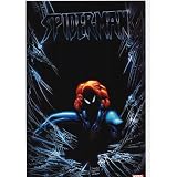 Amazing Spider Man Marvel comics Poster - 24x36