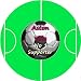 Plymouth Argyle No 1 Supporter**10cm Round Acrylic Coaster**
