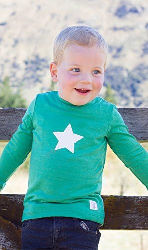 Three Bags Full Little Boys' Merino Wool Printed Star Top 4 years Apple Green
