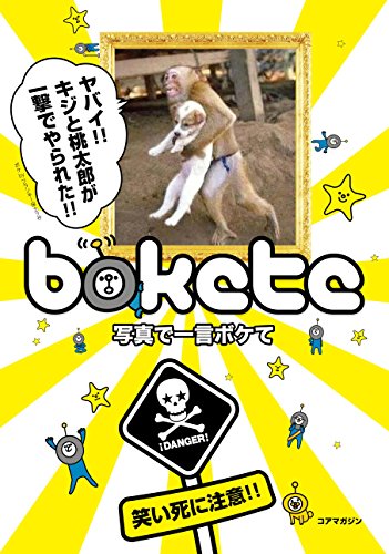 �̿��ǰ���ܥ���