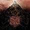 2006's deathcore albums with drum solos