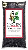 Cole &acute; s OS32 32 Pound Oil Sunflower - B002U0L3Z4