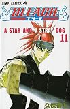 Bleach, Volume 11 (in Japanese)