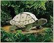 Folkmanis Inc. FMT2181 Tortoise Puppet