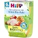 Hipp Tomatenreis mit feiner Bio-Pute, 2-er Pack (2 x 380 g) - Bio