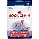 Royal Canin Dry Dog Food, Maxi Large Breed Puppy 32 Formula, 35-Pound Bag