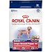 Royal Canin Dry Dog Food, Maxi Large Breed Puppy 32 Formula, 35-Pound Bag