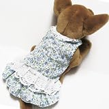 Blue Lace Skirt Dress Outfit Pet Appareal dog clothes APPAREL Chihuahua Teacups Miniature L