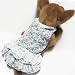   - Blue Lace Skirt Dress Outfit Pet Appareal dog clothes APPAREL Chihuahua Teacups Miniature L
