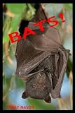 Bats: Learn About These Strange and Wonderful Creatures of the Night