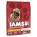 IAMS PROACTIVE HEALTH Adult Lamb Meal and Rice Dry Dog Food 12.5 Pounds