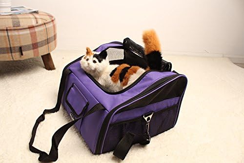 Car dog bag pet out backpack travel portable folding bag dog and cat bag (PURPLE)