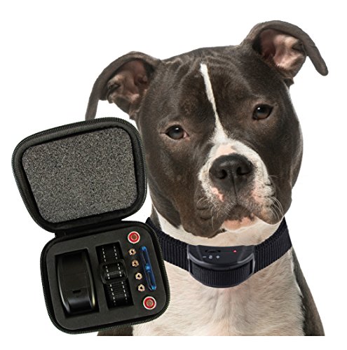 Our K9 Black Bark Collar. Medium to Large Size Dogs. . Sound and Static Shock Anti Bark Collar. with Case