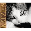 Katzen 2012 - Wandkalender