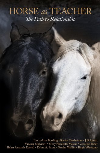 Horse as Teacher: The Path to Relationship