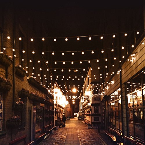 20 Foot long Heavy Duty Globe String Light, featuring 10 Pearl White LED Globe shaped bulbs
