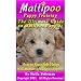 Maltipoo Puppy Training: The Ultimate Guide on Maltipoo Puppies, How to Raise Safe, Happy, Well Mannered Maltipoo Puppies