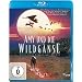 Amy und die Wildg�nse [Blu-ray]