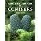 What Makes North American Forest Policy So Distinct (and Fragmented)?