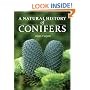 A Natural History of Conifers