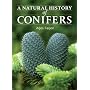 A Natural History of Conifers