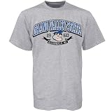 Grand Valley State Lakers Ash School Pride T-shirt