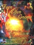 Produkt-Bild: Feen, Elfen, Gnome - Das gro&szlig;e Buch der Naturgeister