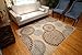 Feraghan/New City Contemporary Modern Flowers Wool Area Rug, 2' x 3', Brown/Beige