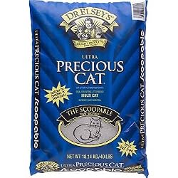 Precious Cat