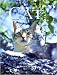 Search : A Portrait of the Cat