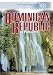 Book Dominican Republic in Pictures (Visual Geography. Second Series)