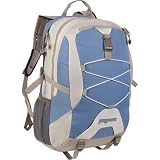 JanSport Lead Backpack by JanSport