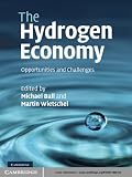 The hydrogen economy : opportunities and challenges