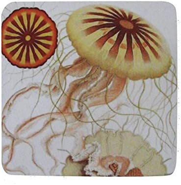 Pack of 8 Absorbent Nautical Antique Style Jelly Fish Print Cocktail Drink Coasters
