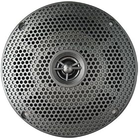 Seaworthy 6 100 Watt Marine 2-Way by