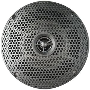 Seaworthy 6 100 Watt Marine 2-Way by