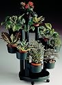 Plant Stand, Self Watering, Green, Wheels.