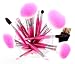 Shany Pro Vegan Mineral Brush Set with Pink Clutch