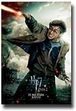 Harry Potter Poster 2011 Movie Teaser Flyer and Deathly Hallows Part 2 II 2011 Movie DH2MNT Reviews 51IYlcmwOsL. SL160 Harry Potter Poster 2011 Movie Teaser Flyer and Deathly Hallows Part 2 II 2011 Movie DH2MNT Reviews