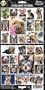 Pet Qwerks S46 Yorkshire Terrier Dog Sticker