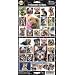 Pet Qwerks S46 Yorkshire Terrier Dog Sticker