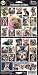 Pet Qwerks S46 Yorkshire Terrier Dog Sticker