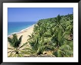 Beach and Coconut Palms, Kovalam Beach, Kerala State, India Photography Framed Art Poster Print by Gavin Hellier, 49x39