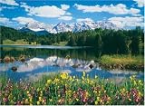 Bavarian Alps Jigsaw Puzzle 500pc