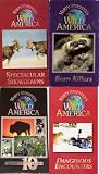 Marty Stouffer's wild america set 4 vhs: Trials of Life: Living Together, Marty Stouffer's Wild America, Born Killers ,Marty Stouffer's Wild America - Dangerous Encounters, Marty Stouffer's Wild America the First 10 Years