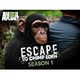 Escape To Chimp Eden Season 1