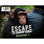 Escape to Chimp Eden Season 1