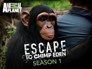 play video on Amazon Video on Demand