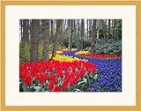 Picture Frame Maple Stem - .625 Rabbet .. 0.75'' wide